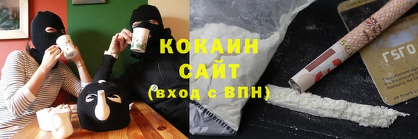 ГАЛЛЮЦИНОГЕННЫЕ ГРИБЫ Алексин