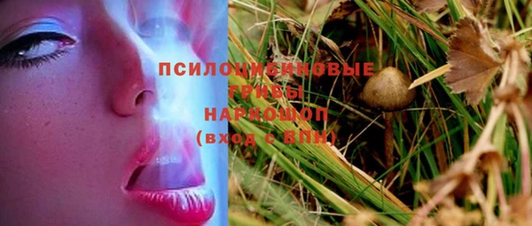 2c-b Абдулино