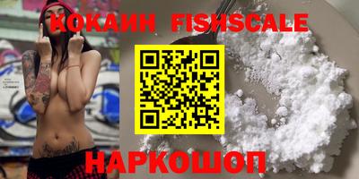 гидра Гатчина